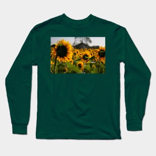 Sunflowers Long Sleeve T-Shirt